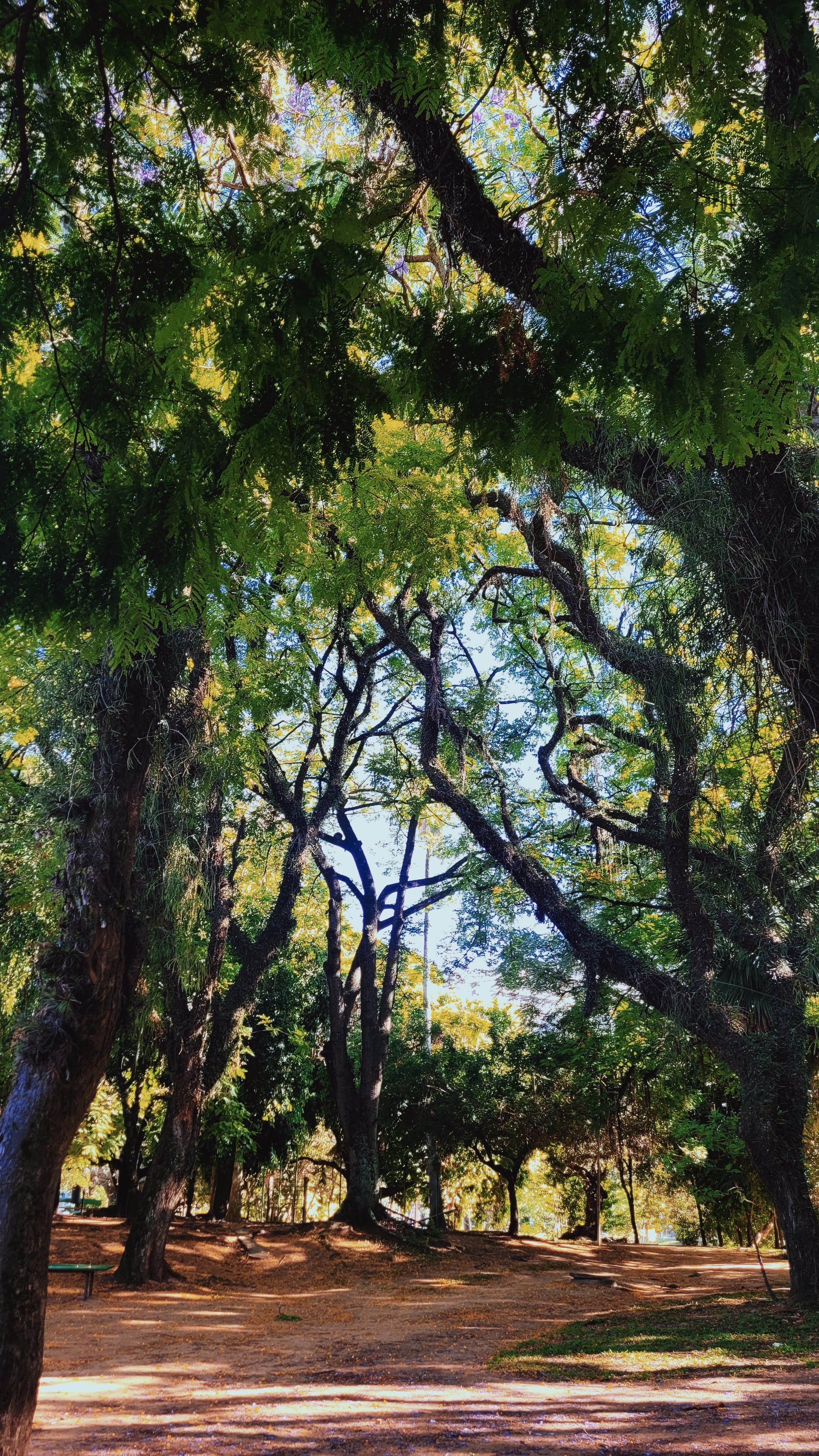 Foto ao final do post Escrever será que ajuda?